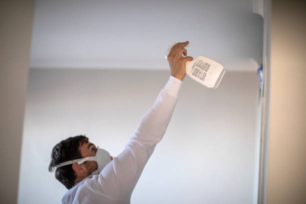 Best Mold Testing and Inspection Services in Pevely, MO