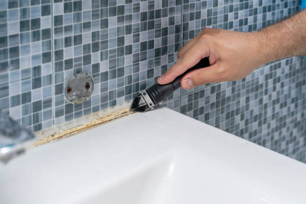 Best Commercial Mold Remediation in Pevely, MO