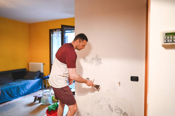 Best Post-Flood Mold Remediation in Pevely, MO